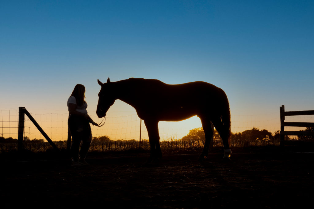 Iowa Equestrian Photographer | Old Spot Farm
